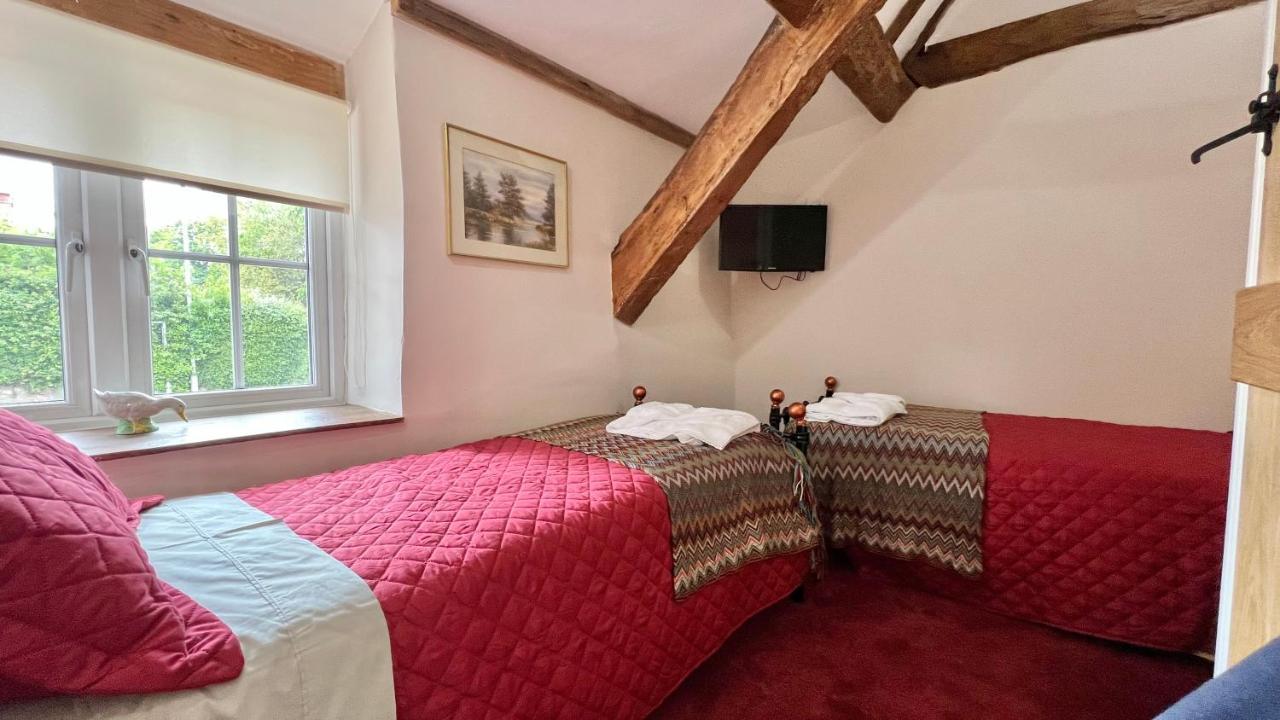 Cosy Cottage Веллінґтон Екстер'єр фото